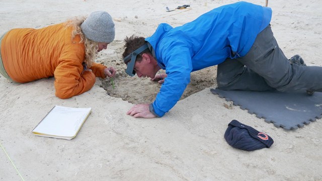 Two people lay on and peer into the ground