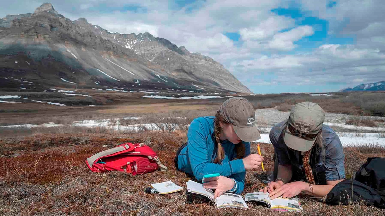 Two women lay in the tundra reading field guides to identify a plant.