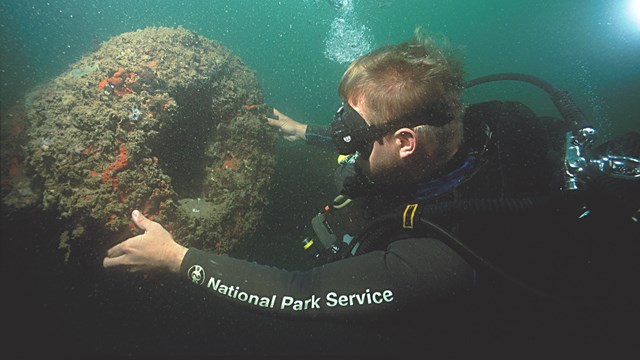 Diver examining an underwater artifact