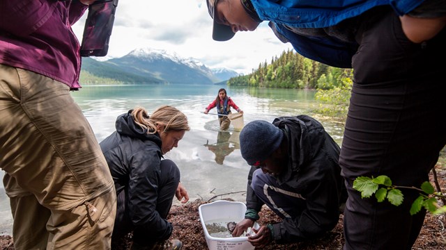 A group of people examine a lake