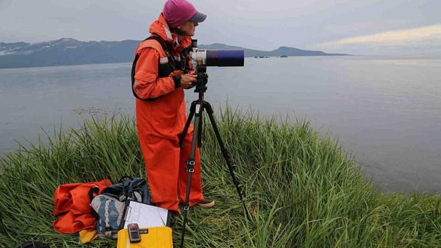 A researcher uses a spotting scope to watch sea otters in the sound.