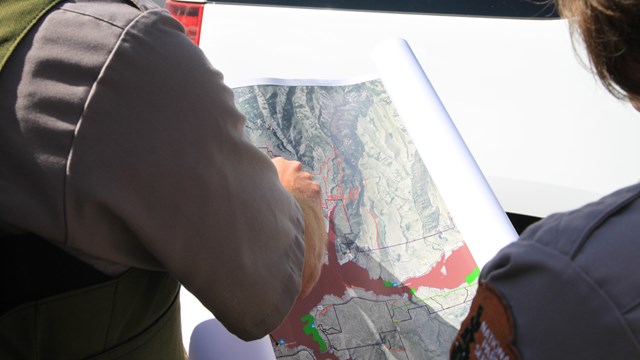 Over the shoulder of a ranger pointing at a map