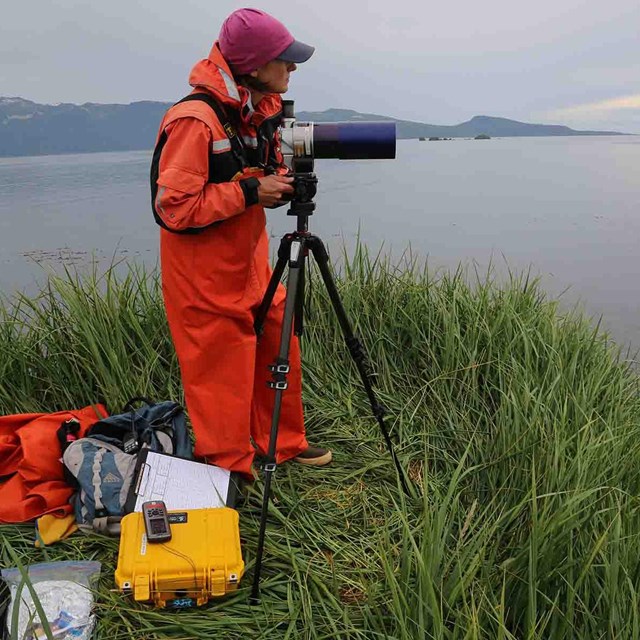 A researcher uses a spotting scope to watch sea otters in the sound.