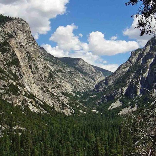 A beautiful valley in the Sierra Nevadas.