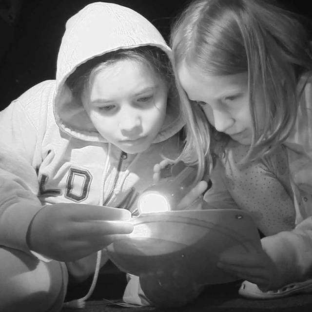 Two youth look at something closely by flashlight in the dark.