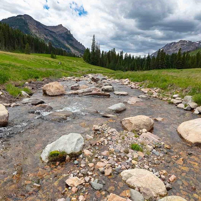 A stream in Yellowstone National Park.