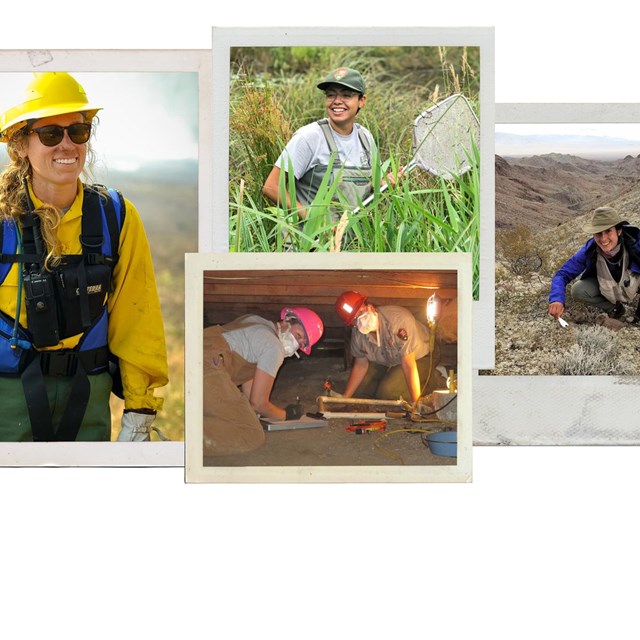 graphic of 4 Polaroids with photos of 4 women in the field 