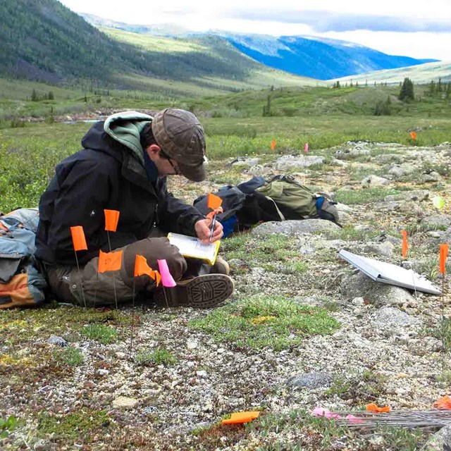 An archaeologist documents a cultural site.