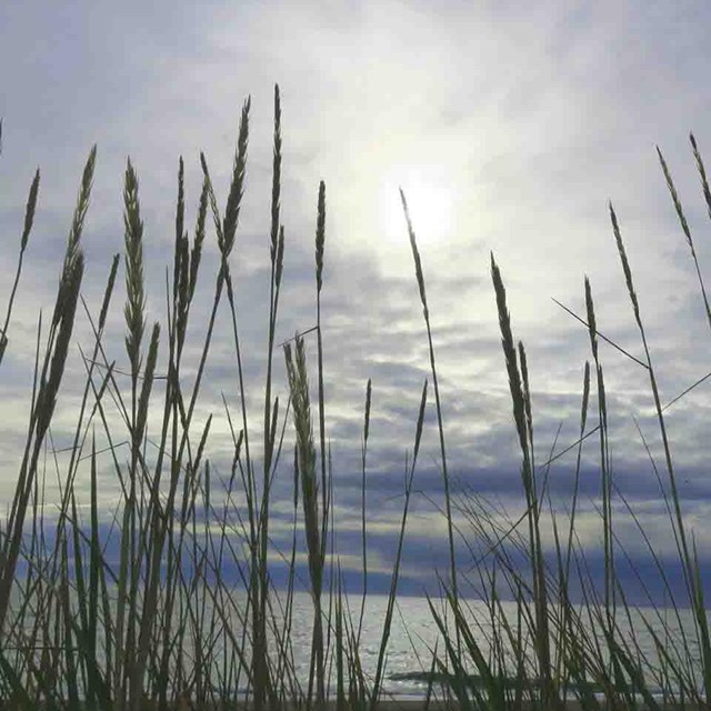 Sun and clouds at the beach.