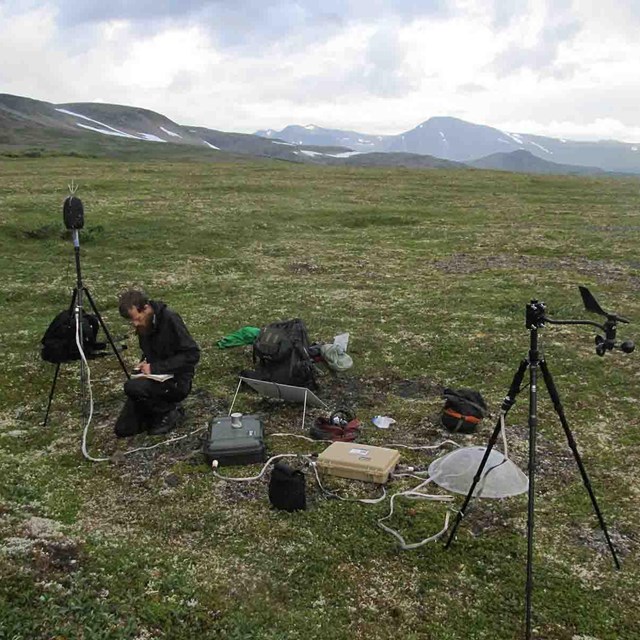 A scientist sets up acoustic recording equipment in the wilderness.