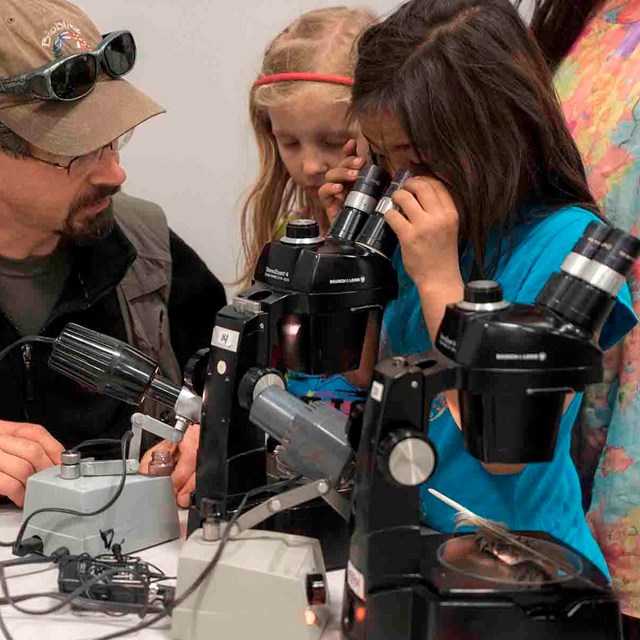 A scientists works with two young girls to see insects through a microscope.