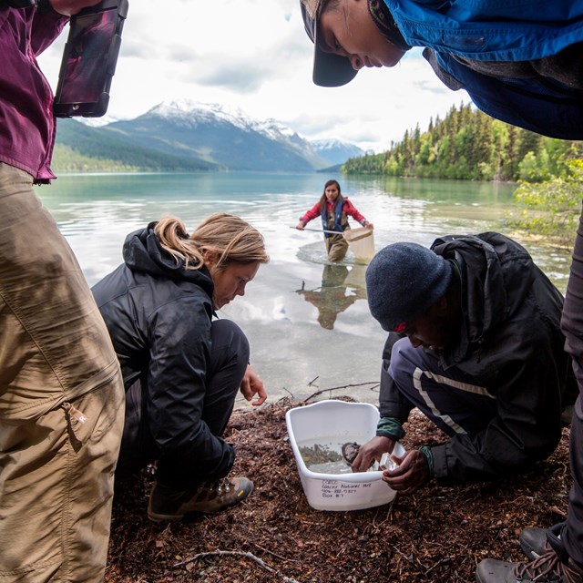 A group of people examine a lake