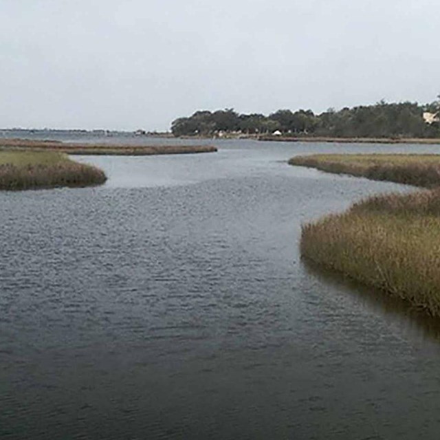 A river with grassy banks.