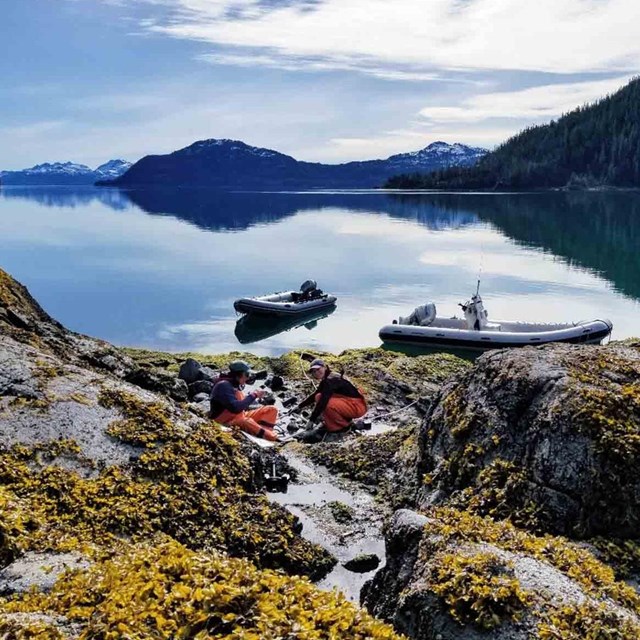 A calm bay and rocky intertidal.