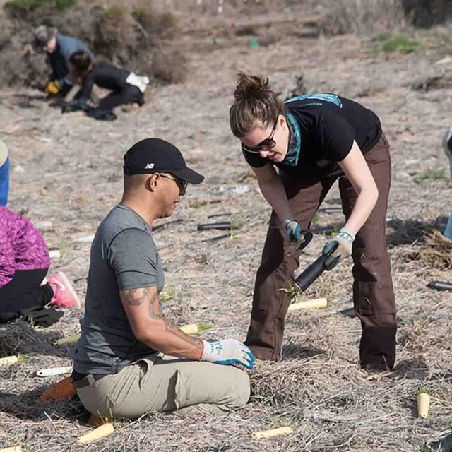 Scientists collect data on a beach.