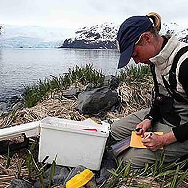 A researcher in an intertidal zone with a glacier behind them.