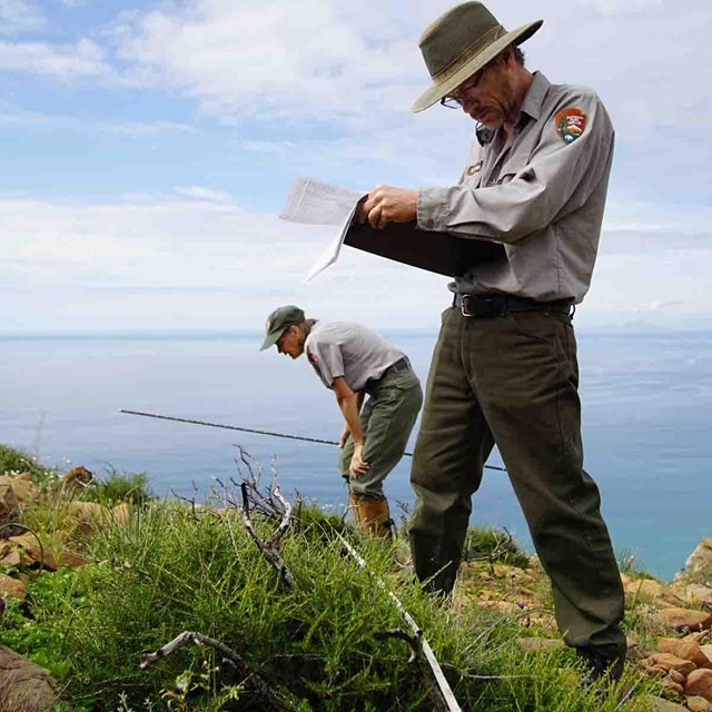 Two scientists record data from a vegetation transect.