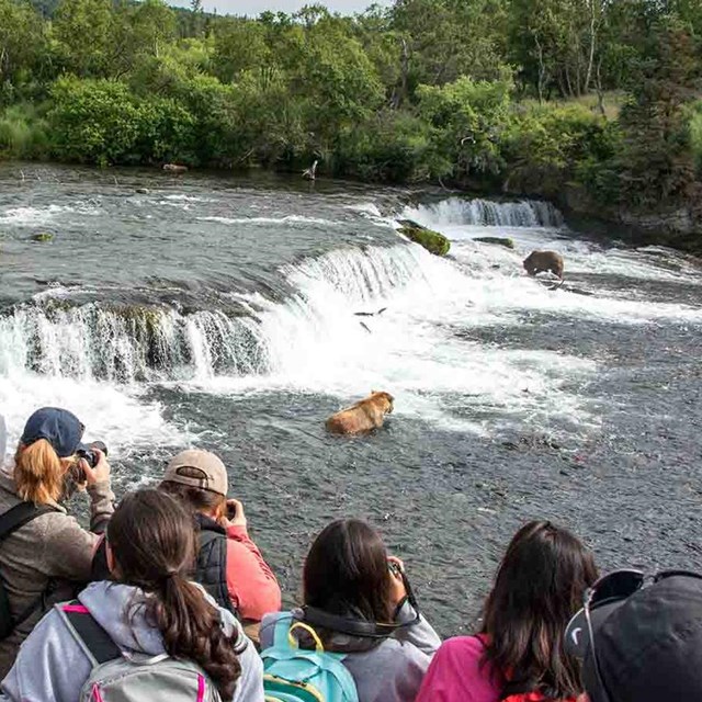 Visitors watch bears at Brooks Falls.