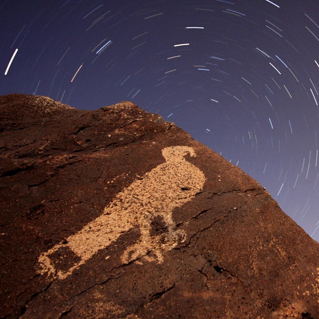 Large brown rock with hawk petroglyph under time-lapse night sky