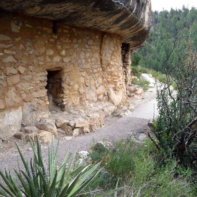 A trail winds past prehistoric dwellings nestled into the base of a cliff