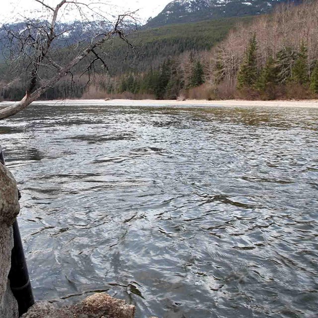 The Taiya River in Klondike Gold Rush.