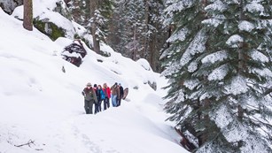 People hike through a snowy forest. Photo by Alison Taggart-Barone.