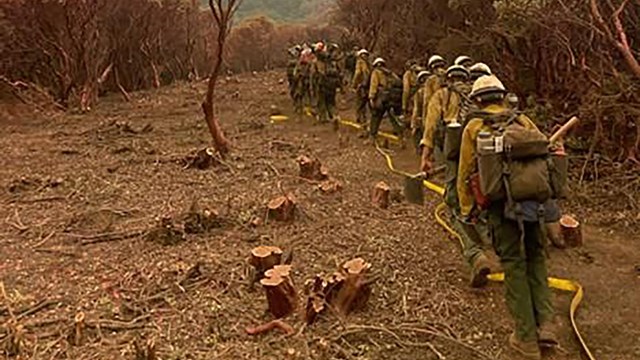 Several wildland firefighters hike single file along a fire line, carrying equipment.