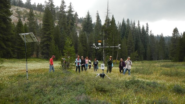 Scientists discuss a meteorological station in Sequoia National Park.
