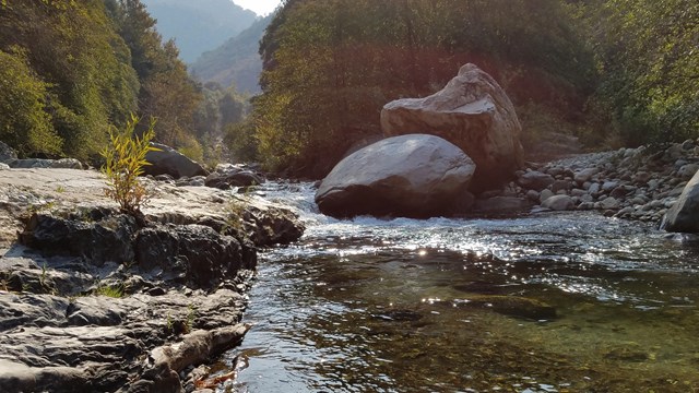 A stream flows past granite rocks and golden fall color of trees and shrubs.