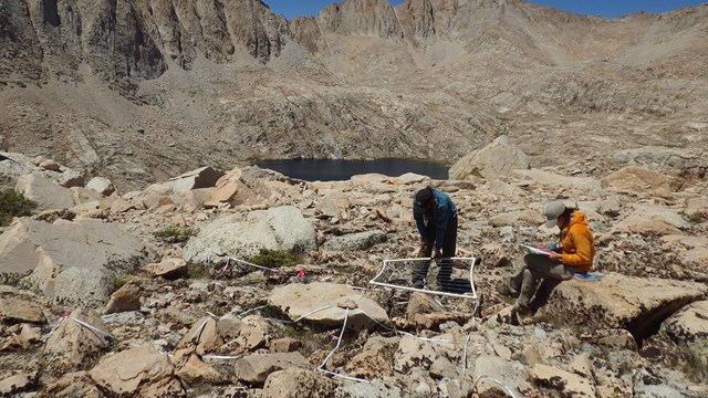 Two scientists record data at an alpine monitoring site near Mount Langley, Sequoia National Park.