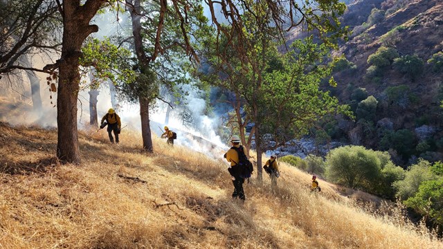 Fire fighters stand on a burning slope