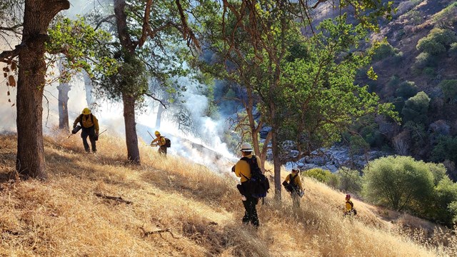 Park fire fighters begin prescribed burn on a grassy slope