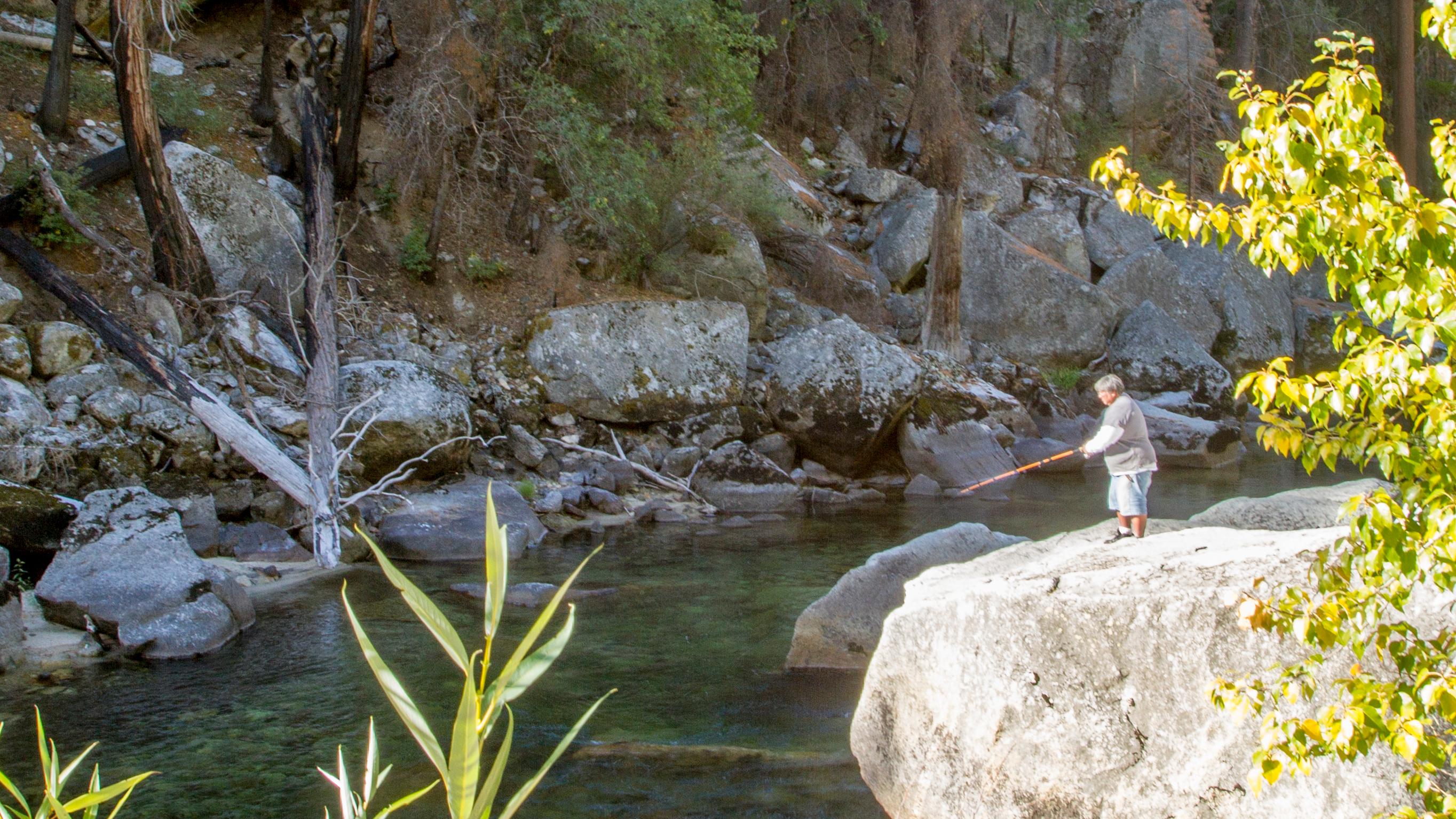 A person perched on a rock fishes in a park river twenty feet below.