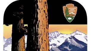 Two sequoia trunks are in front of mountains. A black bar covers the top, with a NPS arrowhead 
