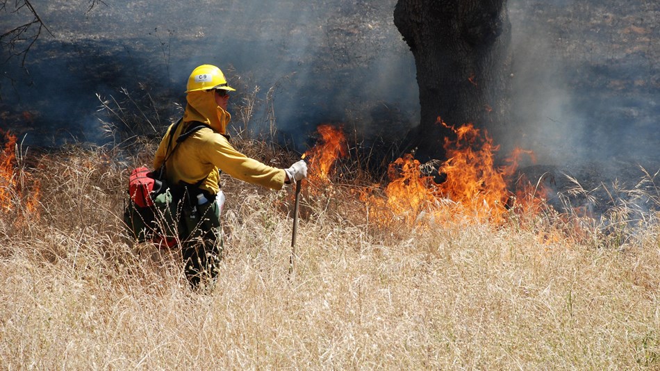 A firefighter stands near a burning slope