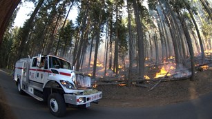 NPS fire truck on the road next to an active prescribed burn in the Giant Forest