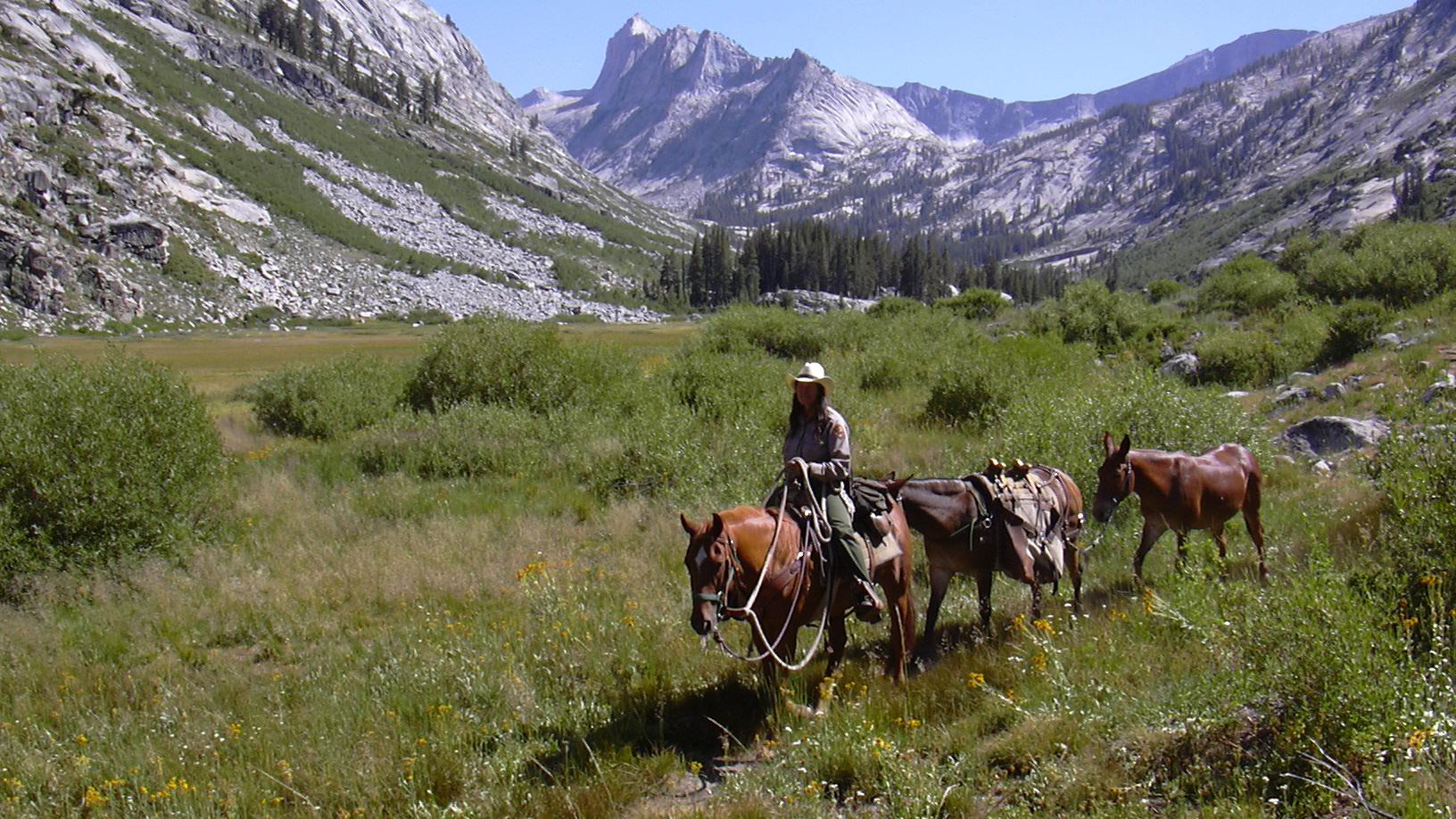 A woman on a horse in a high Sierra canyon