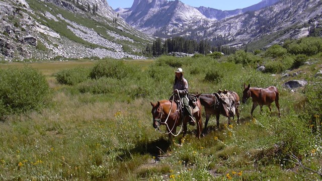 A woman on a horse in a high Sierra canyon