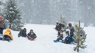 A family plays in the snow. Photo by Alison Taggart-Barone.
