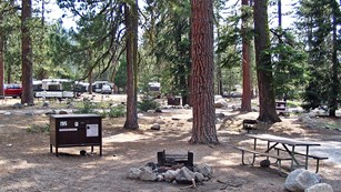 A tent site at Lodgepole Campground