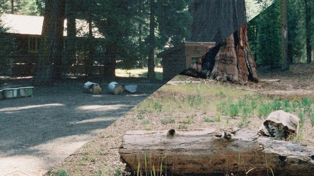A color image of the same location one featuring a structure and one with the structure removed.