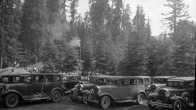 A black and white historical image of old cars all in a row.