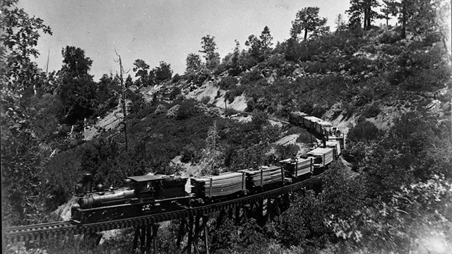 A black and white historical photos of a train on tracks coming through a forest and mountains.