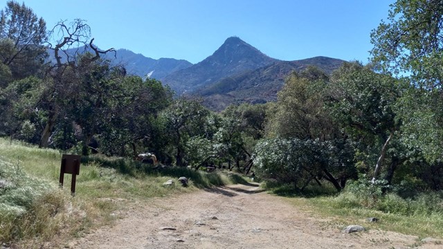 A view of the foothills from a park campground