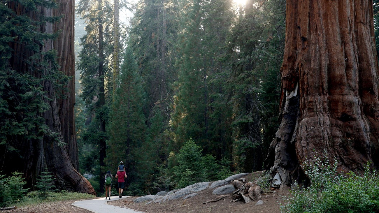 Sequoia National Park Parking
