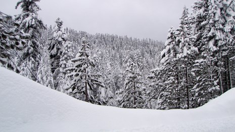 Three people stand outside in a light snowfall with their mouths open catching snowflakes.