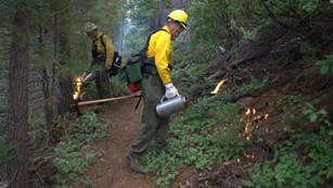 Two fire staff ignite a prescribed burn with drip torches along a trail.  
