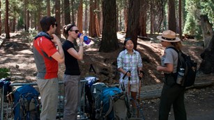 A ranger in uniform talks to hikers under tall trees