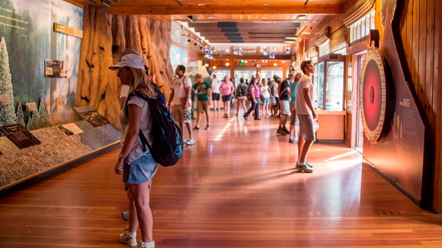 Exhibits in Giant Forest Museum. Photo by Alison Taggart-Barone.