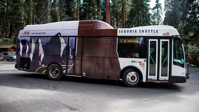 A Sequoia Shuttle large bus. Photo by Alison Taggart-Barone.